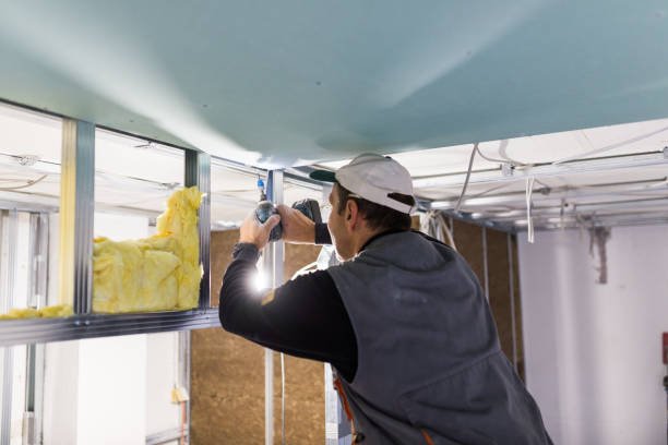 Professional Insulation Contractor in MN