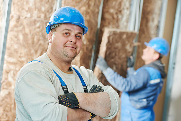 Best Insulation Installation Services in Lexington, MN