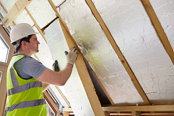 Best Specialty Insulation in Lexington, MN